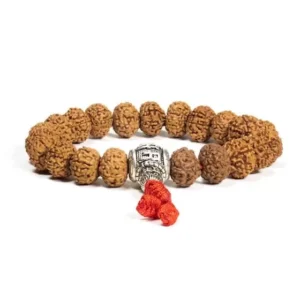 BUDDHY mala – armband rudraksha + om mani padme hum – 21 kralen BUDDHY mala – armband rudraksha + om mani padme hum – 21 kralen